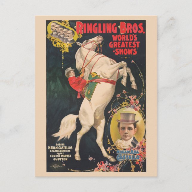 Zirkusposter von Frau Ada Castello auf einem Pferd Postkarte (Vorderseite)