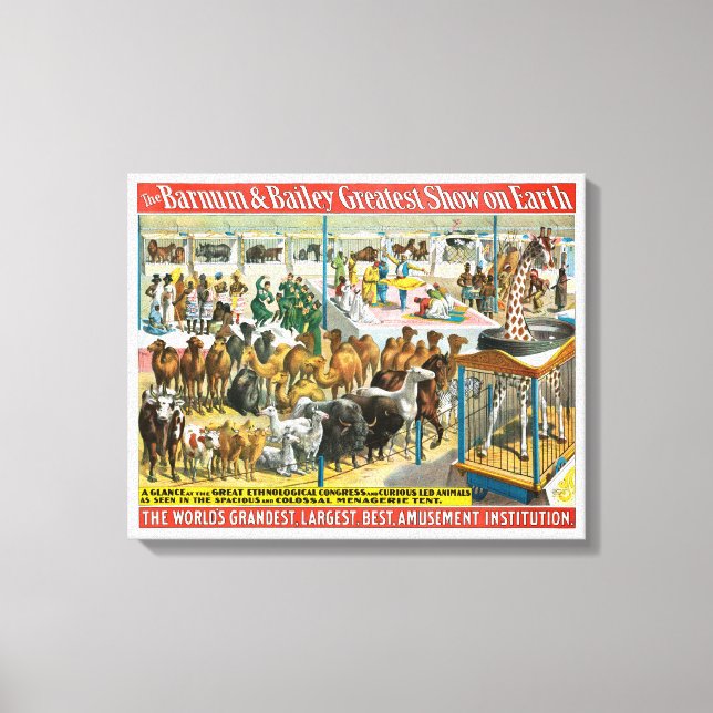 Zirkusposter von Menschen unterschiedlicher Nation Leinwanddruck (Vorderseite)