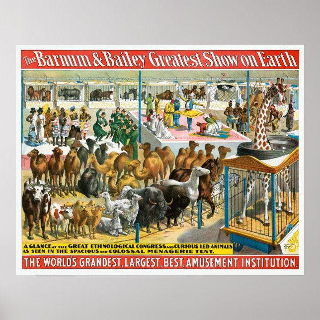 Zirkusposter von Menschen unterschiedlicher Nation Poster (Vorne)