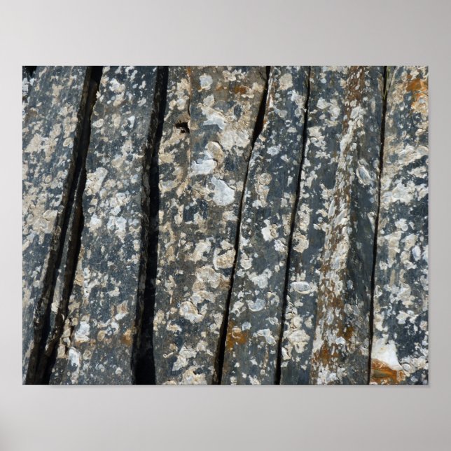 Zisternen Poster (Vorne)