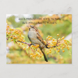 Zitat der Freundschaft Bird und Gelbe Blumen Postkarte