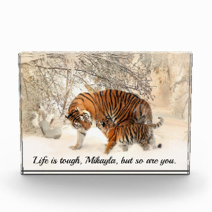 Zitat von Mutter Tiger und Cube Inspirierend Fotoblock