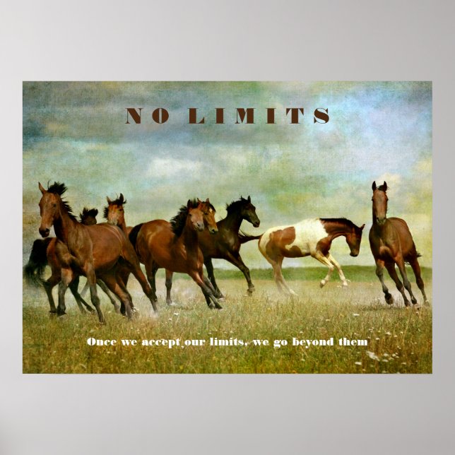 Zitat zu Pferden Motivierend Inspiration keine Gre Poster (Vorne)
