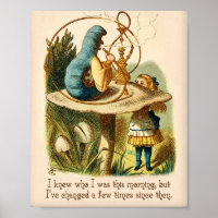 Zitat zur Alice im Wunderland - Ich wusste, wer ic