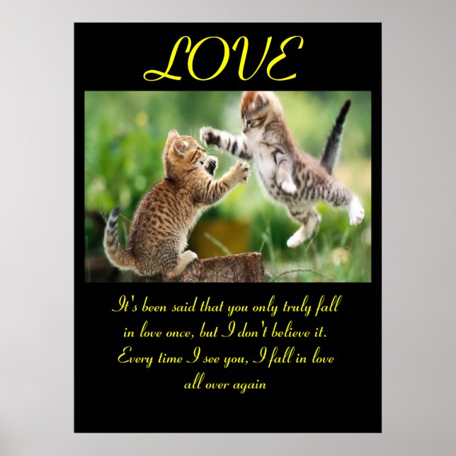 Zitat zur Liebe von Funny Cats Poster (Vorne)