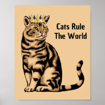 Zitate der orange Katze