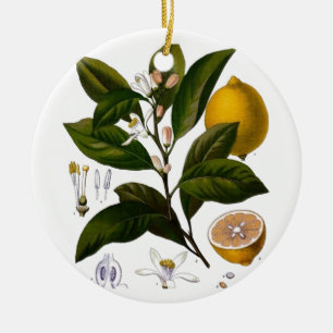 Zitrone Keramikornament