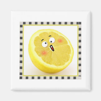 Zitrone Magnet