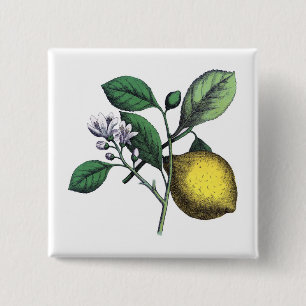 Zitrone, "Obst und Blume" Button