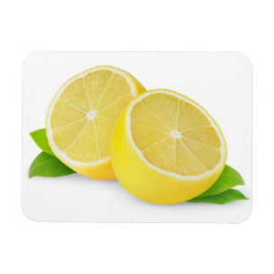 Zitrone schneiden magnet