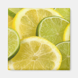 Zitrone und Limone Scheiben Magnet