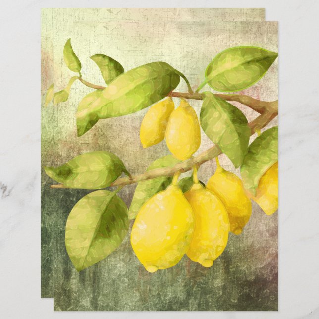 Zitronen an einer Zweigstelle (Vorne/Hinten)