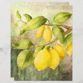 Zitronen an einer Zweigstelle