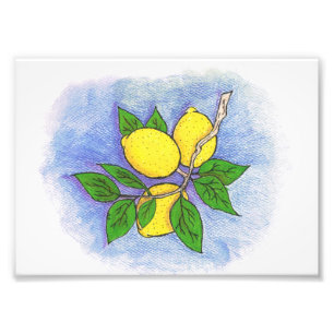 Zitronen-Illustrations-Foto-Druck Fotodruck