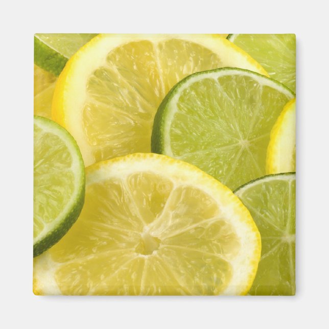 Zitronen und Limone Scheiben Magnet (Vorne)