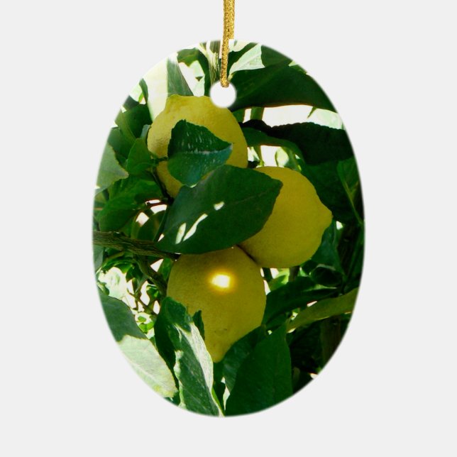 Zitronenbaum-Gelbgrün-Verzierung Keramik Ornament (Vorne)