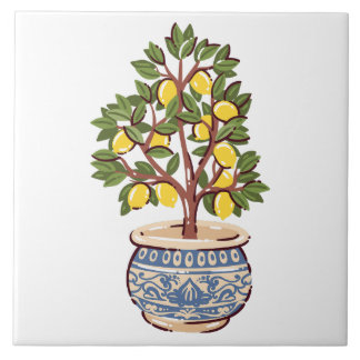 Zitronenbaum in mediterranem Topf Fliese
