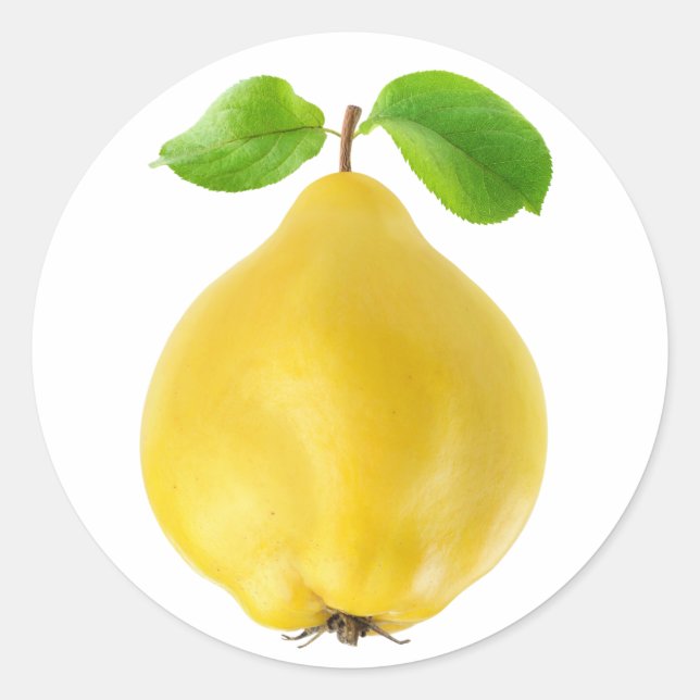 Zitronenfrüchte Runder Aufkleber (Vorderseite)