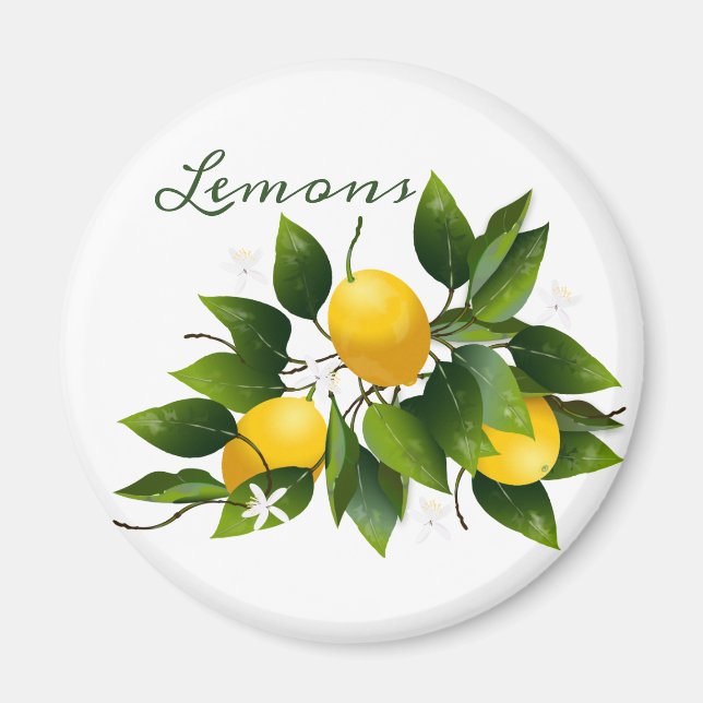 Zitronenfrüchte Zitrusfrüchte Magnet (Vorne)