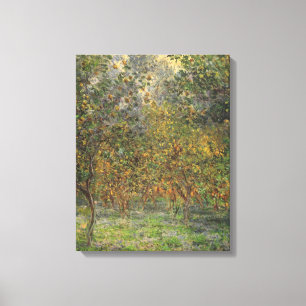 Zitronengarten in Bordighera von Claude Monet Leinwanddruck