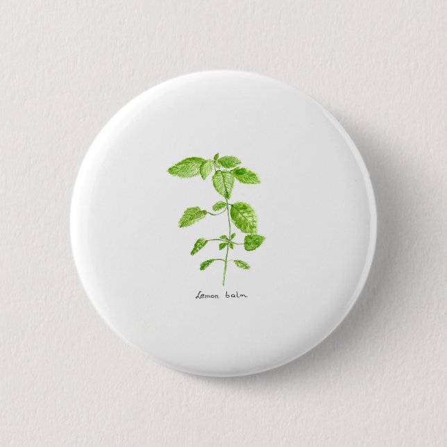 Zitronenmelisse Kraut Aquarell Garten Button (Vorderseite)