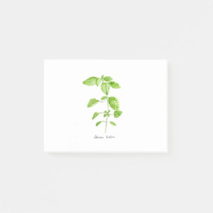 Zitronenmelisse Kraut Wasserfarbe Garten grün Post-it Klebezettel