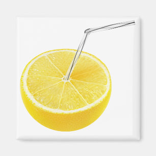 Zitronensaft Magnet