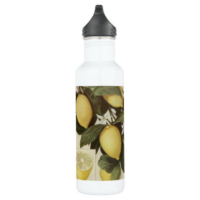 Zitronenwasserflasche Edelstahlflasche (Rechts)