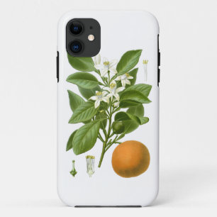Zitrusfrucht-orange botanische nein Wohngestaltung Case-Mate iPhone Hülle