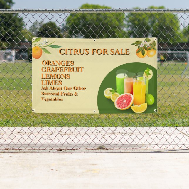 Zitrusfrüchte für den Verkauf von Obst und Gemüse, Banner (Insitu)