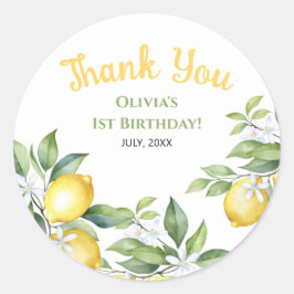 Zitrusfrüchte Geburtstagsaufkleber Runder Aufkleber