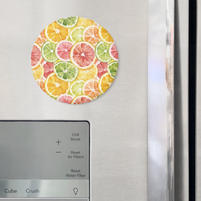 Zitrusfrüchte Limette Zitrone Orange Grapefruit Magnet (In Situ (Kühlschrank))