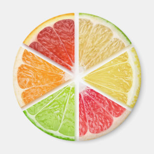 Zitrusfrüchte Magnet