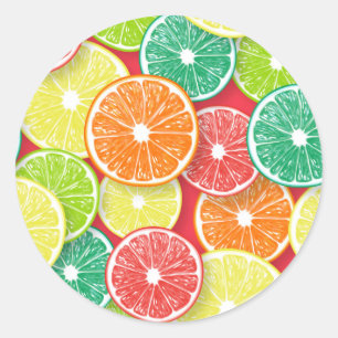 Zitrusfrüchte-Scheiben Pop Art 2 Runder Aufkleber