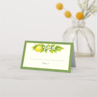 Zitrusgarten Orange & Lemon Hochzeitsplatzkarte Platzkarte