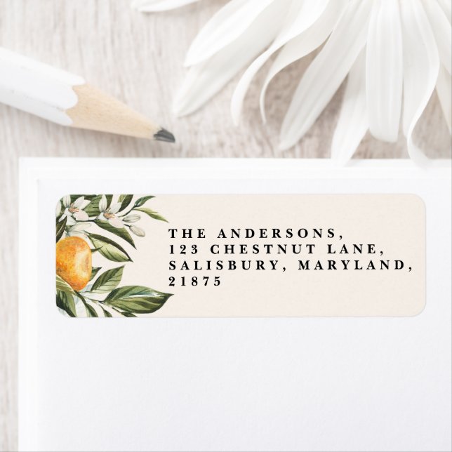 Zitrusorange Blüte botanischer rustikaler Brautchi (Insitu)