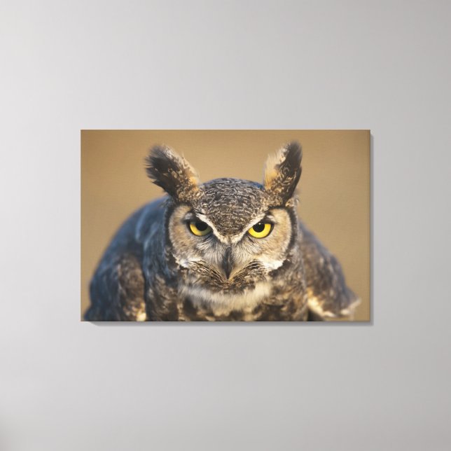 zittern, usa leinwanddruck (Vorderseite)