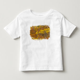 Zitterpappel-Hain in herbstlicher Hochfarbe in 2 Kleinkind T-shirt