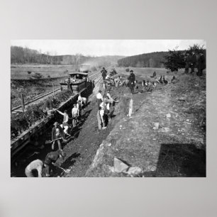 Zivile Kriegsbahn in Clifton, Virginia, 1863 Poster
