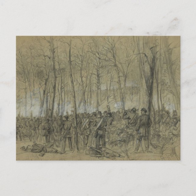ZIVILER Krieg der USA: Die Wildnis Postkarte (Vorderseite)