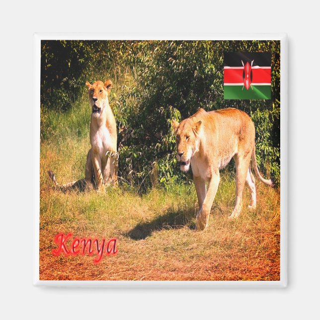 zKE005 KENIA, Löwen, Afrika, Kühlschrank Magnet (Vorne)