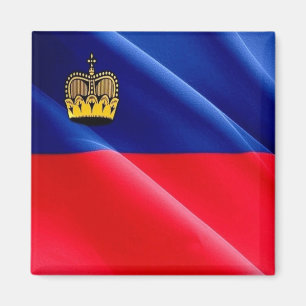 zLI002 LIECHTENSTEIN waving FLAG - Fridge Aimant