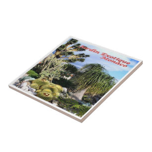 zMC047 EXOTIC GARDEN, Monaco, Fliese