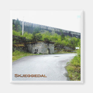 zNO089 SKJEGGEDAL, Norwegen, Europa, Kühlschrank Magnet