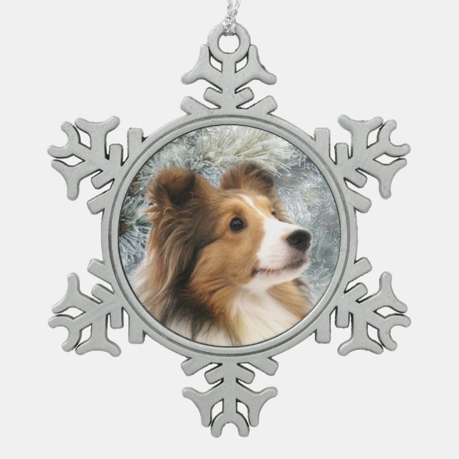 Zobel Sheltie Weihnachten Schneeflocken Zinn-Ornament (Vorderseite)