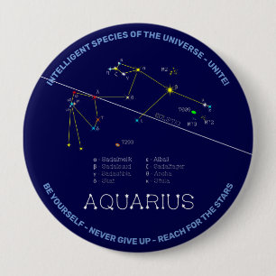 Zodiac Constellation Aquarius Button