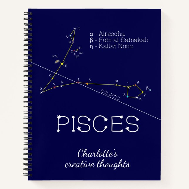 Zodiac Constellation Pisces Notizbuch (Vorderseite)