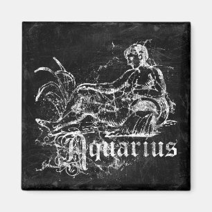Zodiac Vintag Aquarius Magnet