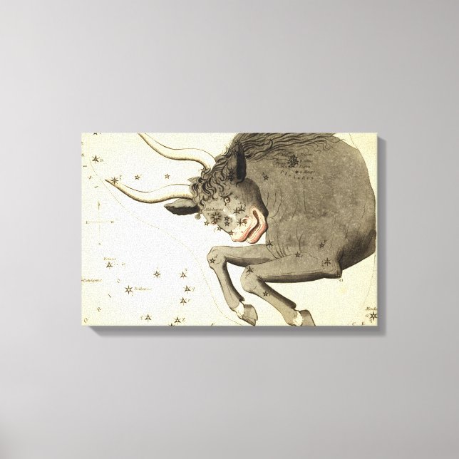 "Zodiac-Zeichen: Taurus"-Leinenschrift Leinwanddruck (Vorderseite)