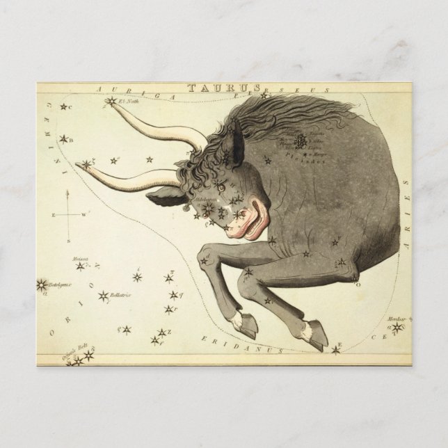 Zodiac-Zeichen: Taurus-Postkarten Postkarte (Vorderseite)